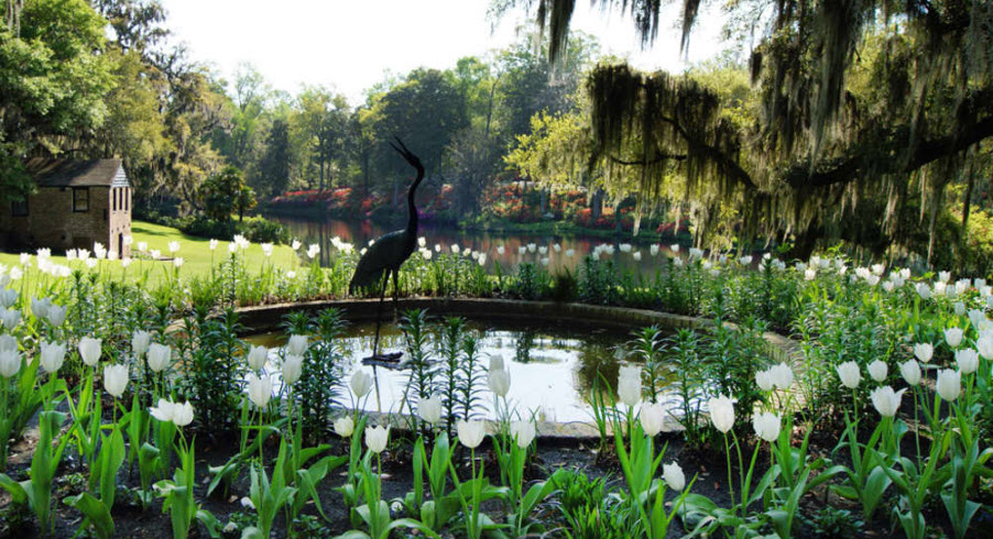 Middleton Place, Charleston, United States